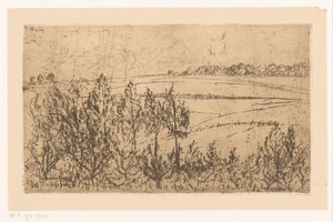 Landschaft mit Feldern und Bäumen