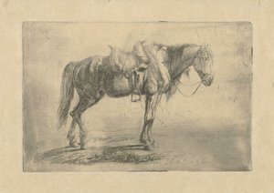 Gesatteltes Pferd nach rechts