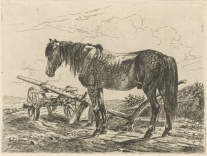 Pferd bei einem Pflug