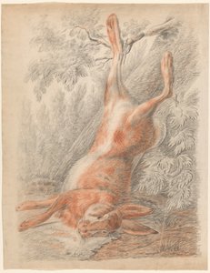 Toter Hase, an einem Bein hängend von Johannes Tavenraat