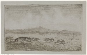 Hasenjagd von Johannes Tavenraat