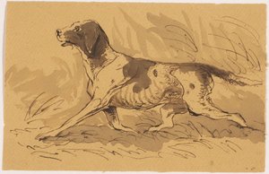 Jagdhund