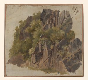 Felsen und Vegetation