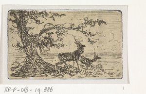 Zwei Hirsche unter einem Baum von Johannes Tavenraat