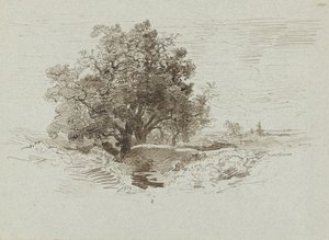 Gruppe von Eichen in Wolfheze