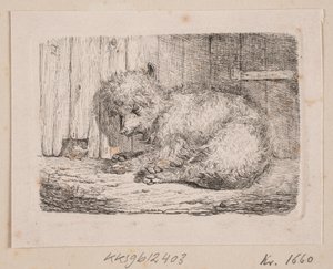 Ein langhaariger Hund von Johannes Wilhelm Zillen