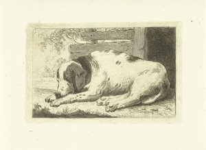 Schlafender Hund