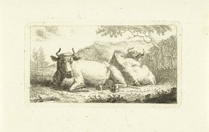 Zwei liegende Kühe von Johannes van Cuylenburgh