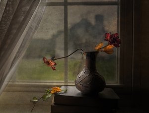 Getrocknete Rosen Fensterblick