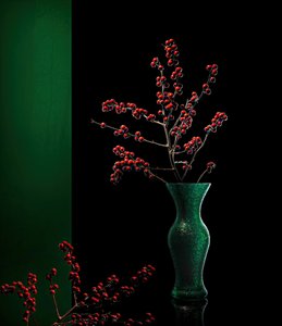 Elegante Winterbeeren