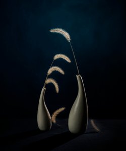 Stimmungsvolle Botanische Vasen