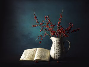 Winterbeeren und Buch