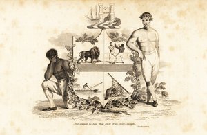 Wappen von Tom Cribb, englischer Bare-Knuckle-Boxer 1781-1848 von John (after) Emery