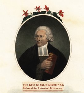Porträt von Colin Milne, Botaniker (Stich) von John (after) Russell