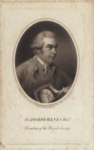 Sir Joseph Banks, englischer Naturforscher, Botaniker und Präsident der Royal Society von John (after) Russell