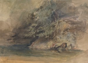 Bäume an einem Teich