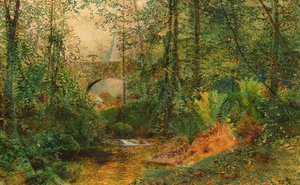 Flusslandschaft