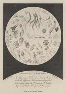 Eine mikroskopische Ansicht eines Wassertropfens