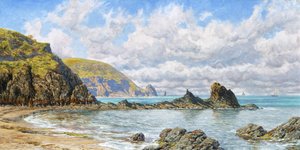 Waldbucht, Cardigan Bay, 1883