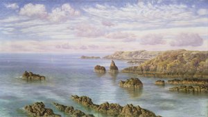 Die Südküste von Guernsey von John Brett