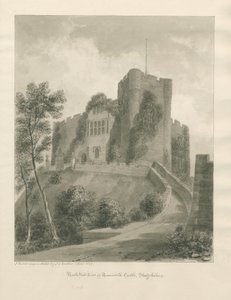 Tamworth Schloss von John Buckler