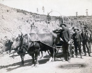 Goldrausch in South Dakota