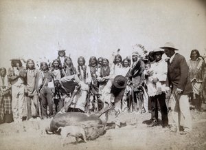 Rind häuten, 1891