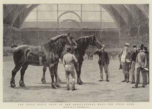 Die Shire Horse Show in der Agricultural Hall, das letzte Duell
