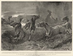 Eine Stampede, ein frühmorgendlicher Überraschungsangriff vereitelt von John Charlton