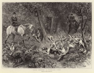 Hart bedrängt, eine Waldszene von John Charlton