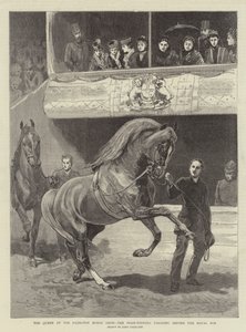 Die Königin auf der Islington-Pferdeschau, die Preisträger paradieren vor der königlichen Loge