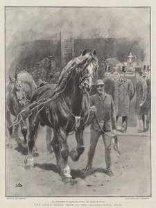 Die Shire Horse Show in der Landwirtschaftshalle von John Charlton