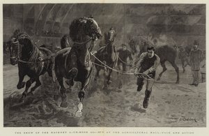 Die Schau der Hackney Stud-Book Society in der Landwirtschaftshalle, Tempo und Aktion