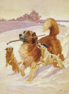 Drei Hunde spielen im Schnee, 1881