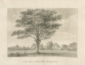 Boscobel - Die Königseiche von John Chessell Buckler