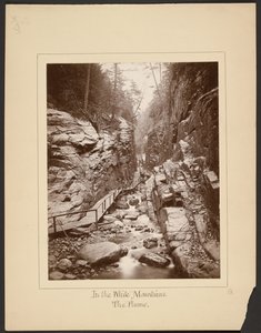In den Weißen Bergen/Die Flume von John Coates Browne