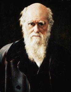 Porträt des englischen Naturforschers Charles Darwin (Detail) von John Collier
