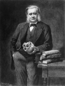 Thomas Henry Huxley (1825-95) geätzt von Leopold Flameng (1831-1911) 1885 von John Collier