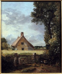 Hütte in einem Weizenfeld