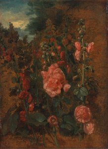 Studie von Stockrosen, ca. 1826