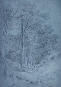 Studie von Eschen und anderen Bäumen von John Constable