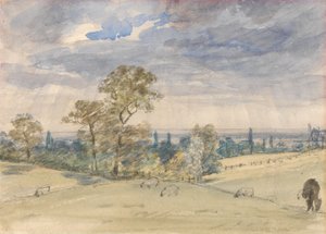 Landschaft in Suffolk von John Constable