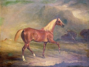 Kastanienbrauner Araberhengst von John E. Ferneley