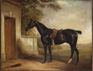 Porträt von Buckle, dem Jäger des ersten Lord Chesham, 1836 von John E. Ferneley