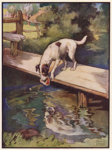 Der Hund und der Schatten von John Edwin Noble