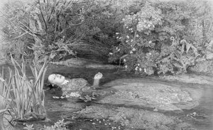 Ophelia, graviert von Alfred Smith, veröffentlicht von Henry Graves & Co., 1864 von John Everett after Millais