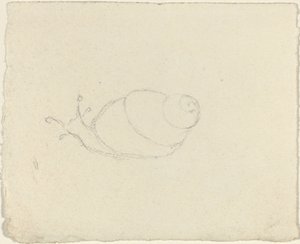 Schnecken (recto und verso)