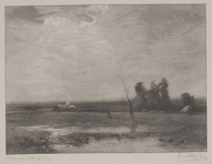 Tieflandnachmittag, Druck von Timothy Cole (1852-1931) von John Francis Murphy
