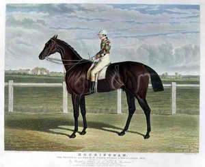Rockingham, der Gewinner des Great St. Leger Stakes in Doncaster von John Frederick Herring Snr