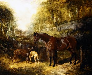 Pony und Windhunde in einer Landschaft